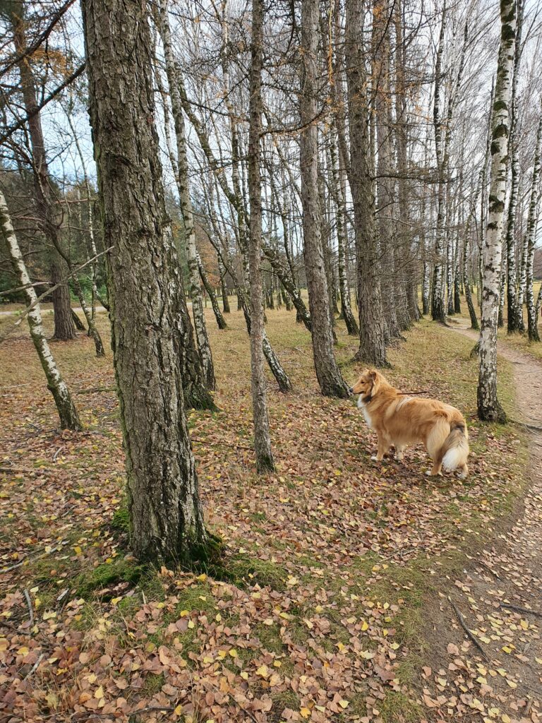 podróże podsumowanie