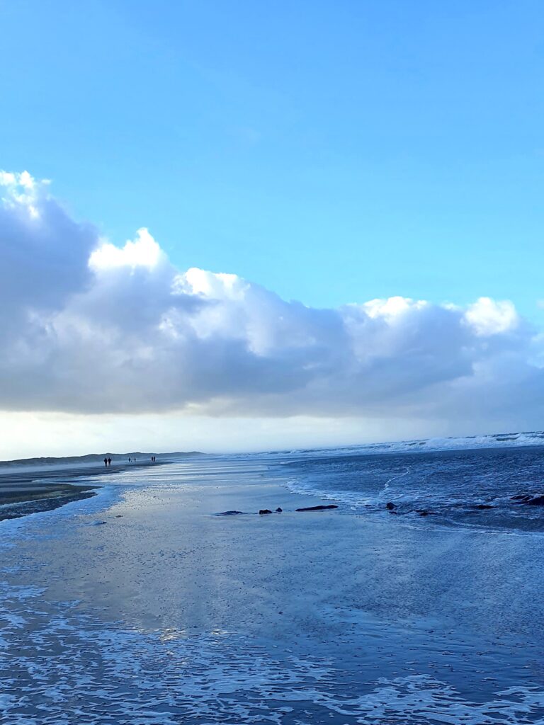 Texel