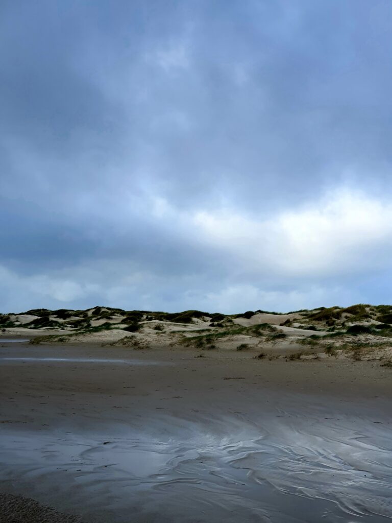 Texel