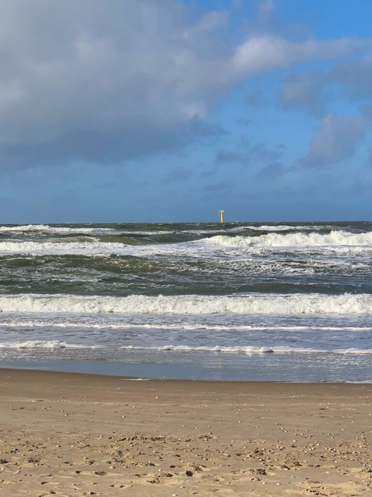 Texel