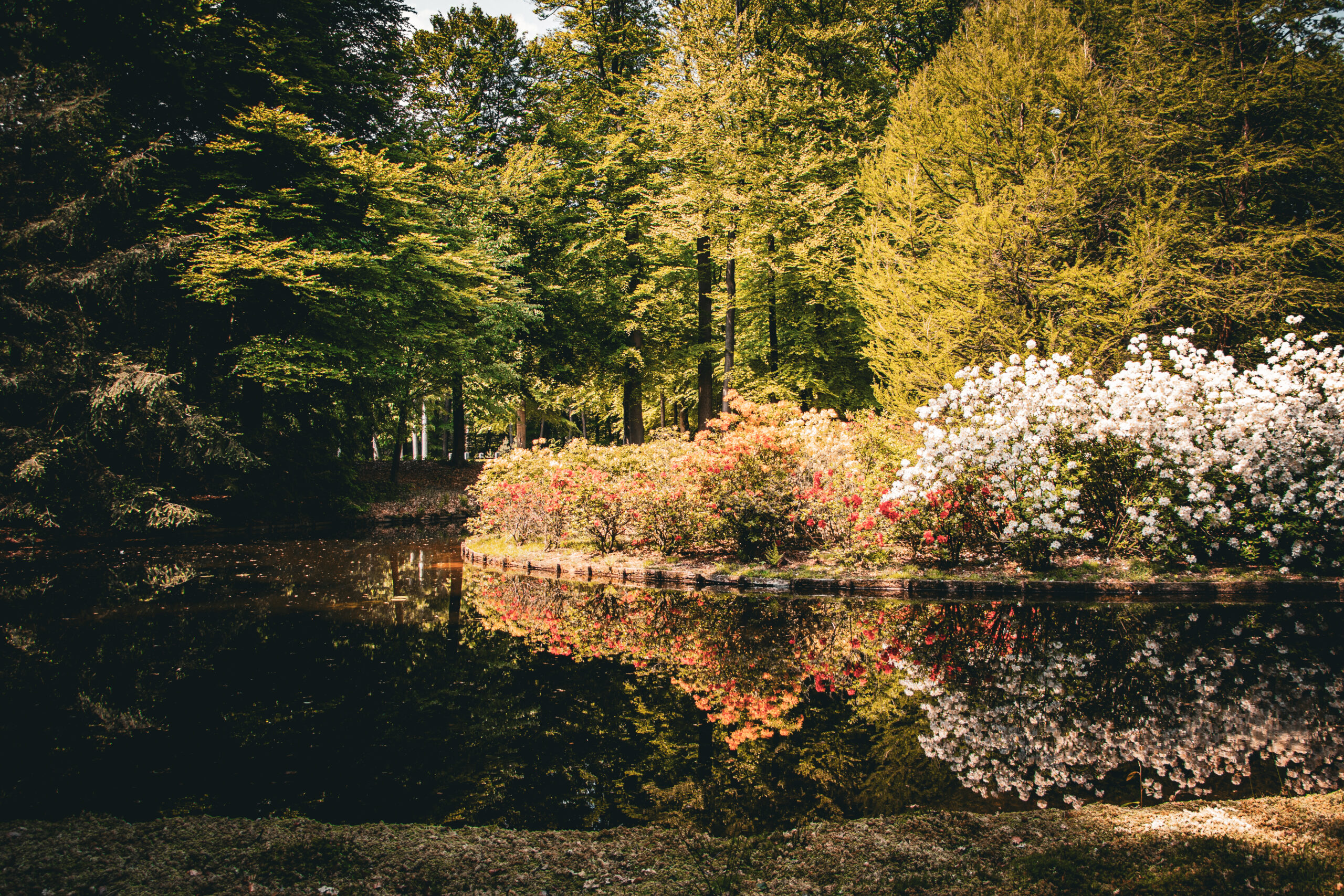 het loo, paleis het loo, het loo apeldoorn, pałac, ogród, mira peta blog