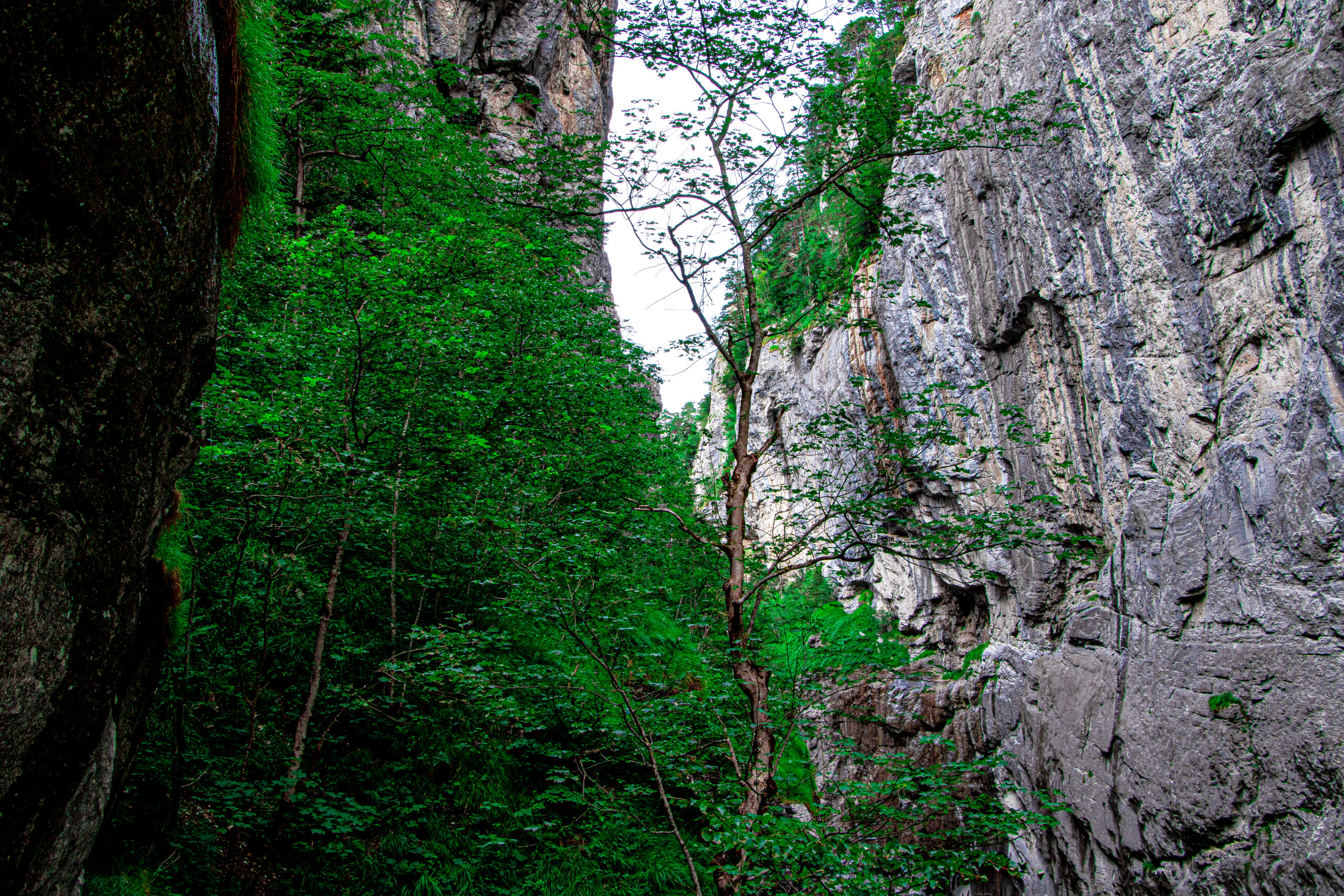 Aareschlucht, aare, wąwóz aare, wąwóz, kanion, mira peta blog